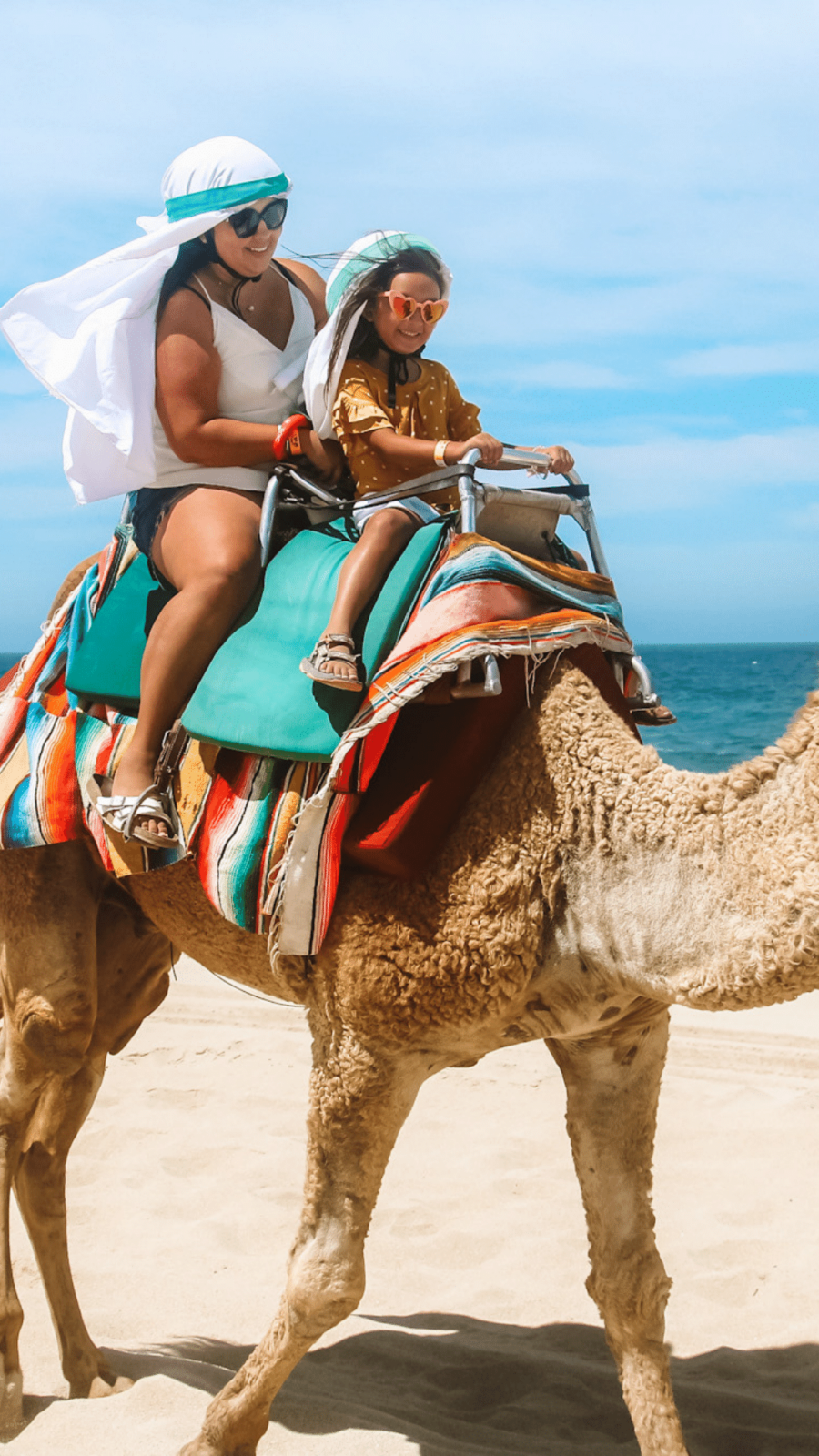 Cabo Cactus Tours: Review of our Camel Ride Experience