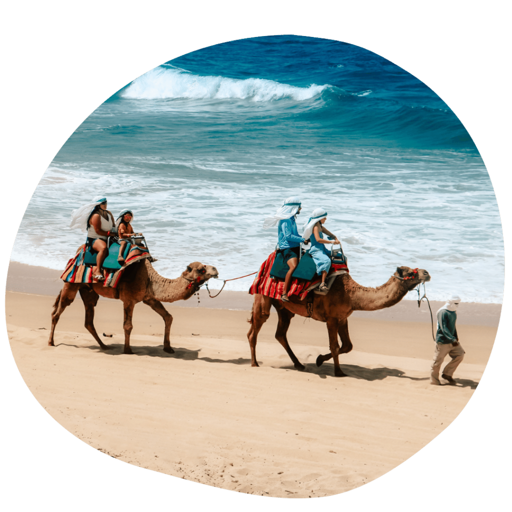 Cabo Cactus Tours: Review of our Camel Ride Experience