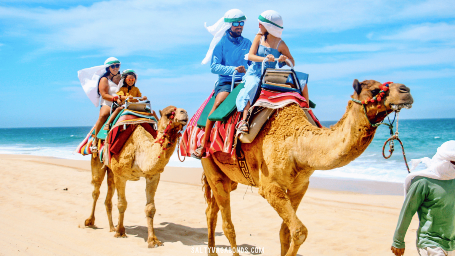 Cabo Cactus Tours: Review of our Camel Ride Experience